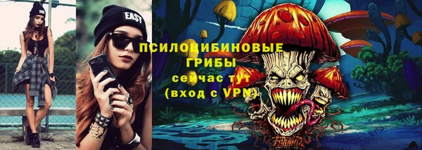 прущие грибы Алексин