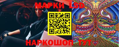 стафф Шебекино